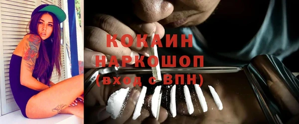 альфа пвп Елизово