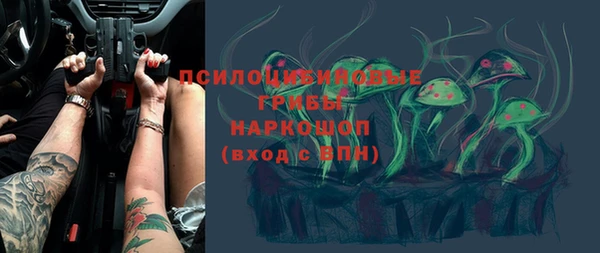mdpv Елабуга