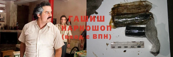 стаф Ельня
