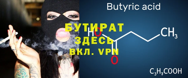 стаф Ельня
