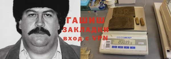 стаф Ельня