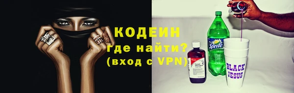 стаф Ельня