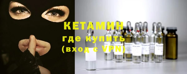 стаф Ельня