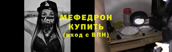 стаф Ельня