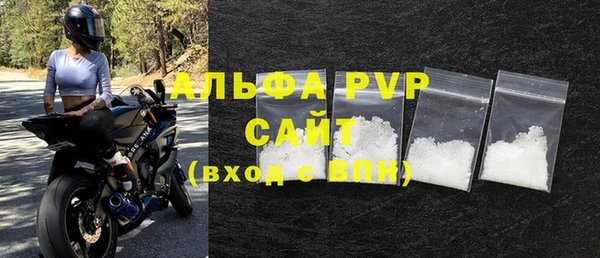 стаф Ельня