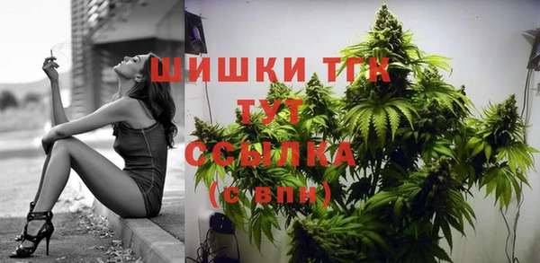 стаф Ельня