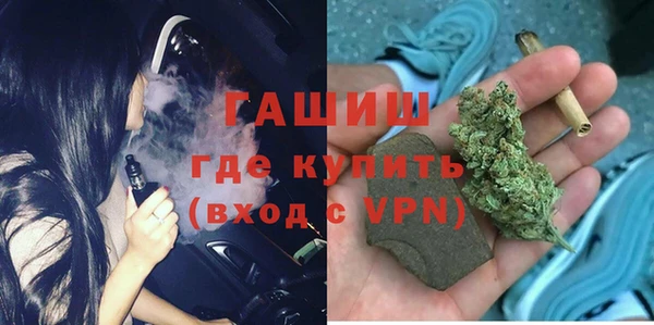 стаф Ельня