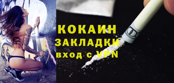 альфа пвп Елизово