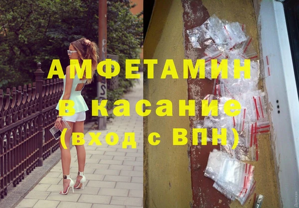 стаф Ельня