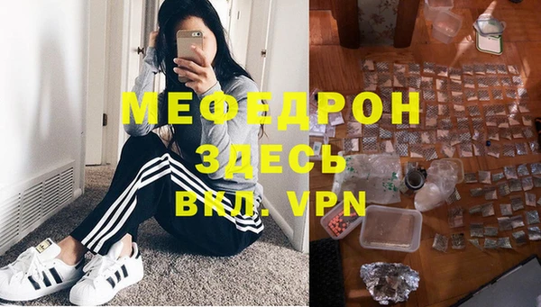 стаф Ельня